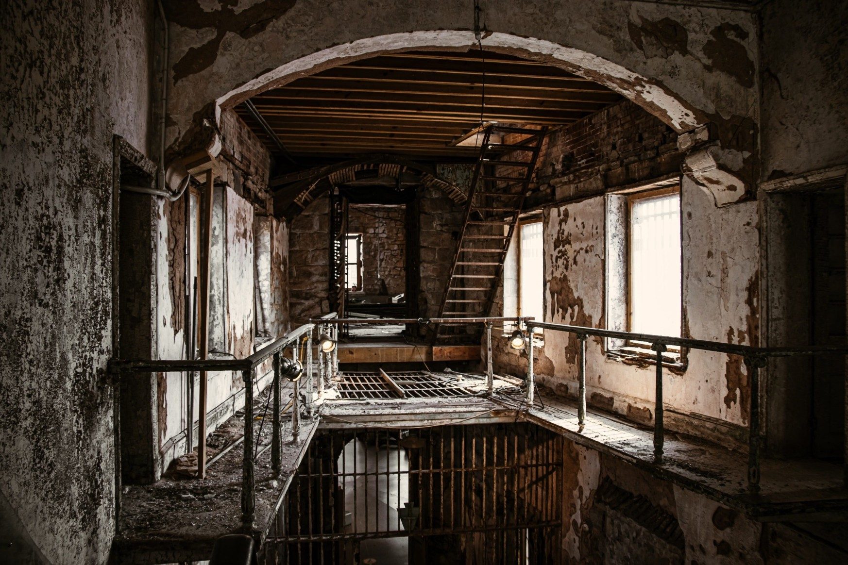 mould removal services edmonton